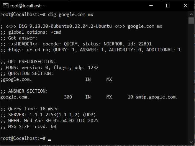Cara Lihat DNS Dengan Perintah Dig Dan Host di VPS Linux