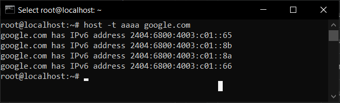 Cara Lihat DNS Dengan Perintah Dig Dan Host di VPS Linux
