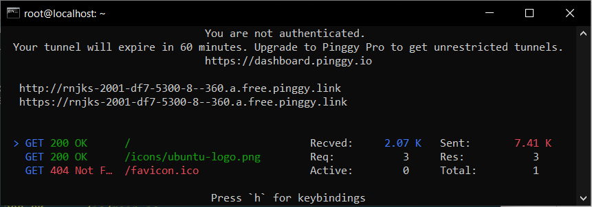Apa itu Pinggy? dan Cara Amankan IP Address VPS Linux