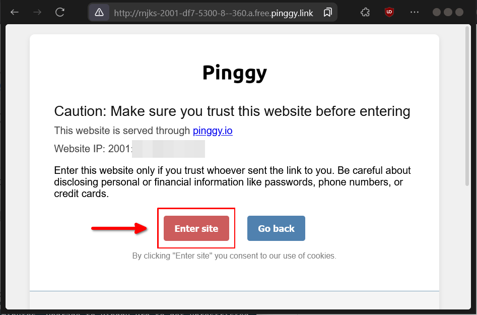 Apa itu Pinggy? dan Cara Amankan IP Address VPS Linux