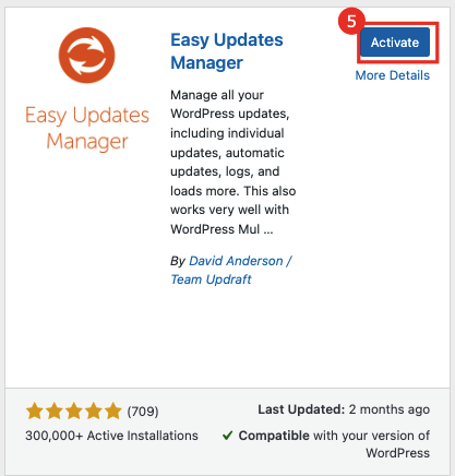 Cara Setting Auto Update pada WordPress