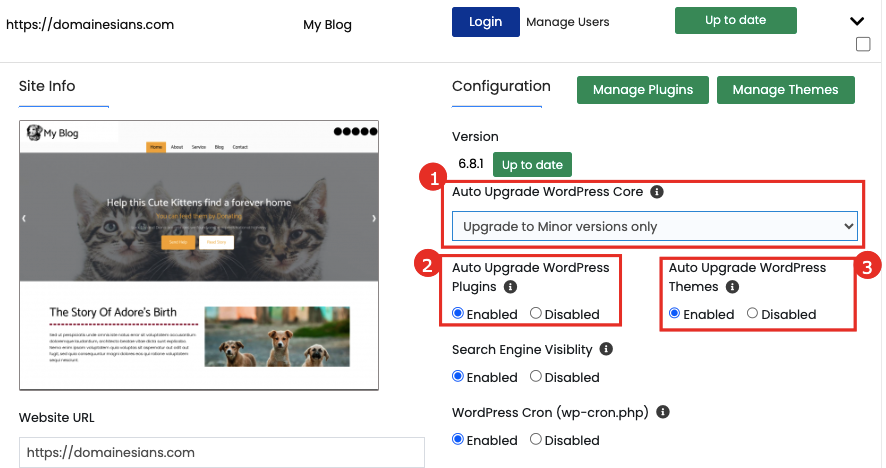 Cara Setting Auto Update pada WordPress