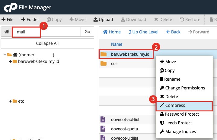 Migrasi Data Email Mandiri pada cPanel