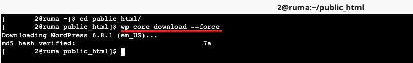 Cara Reinstall WordPress dengan WP CLI