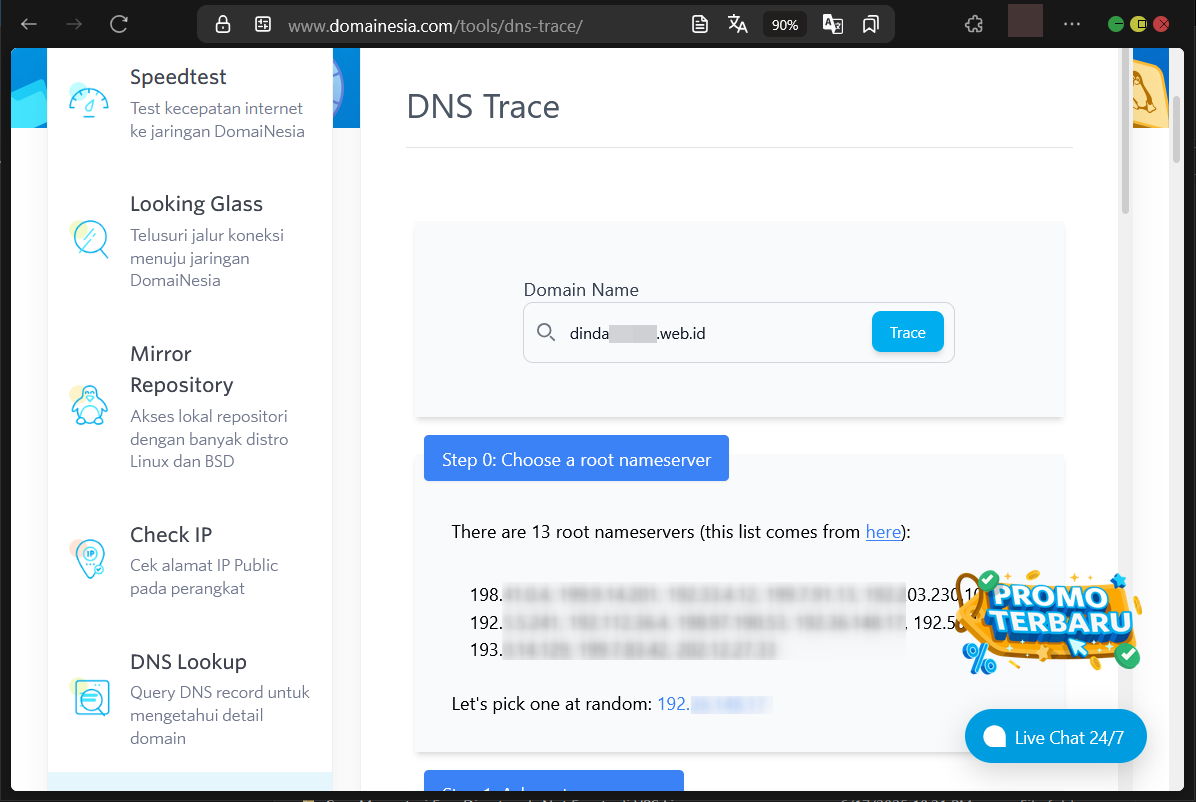 Panduan & Akses DomaiNesia Web Tools Untuk Diagnosis Web
