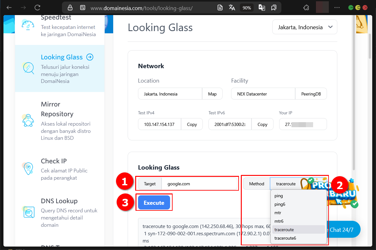Panduan & Akses DomaiNesia Web Tools Untuk Diagnosis Web