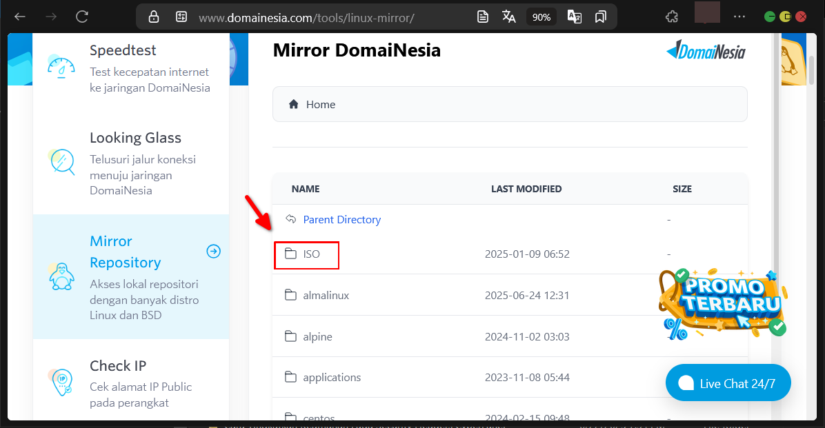 Panduan & Akses DomaiNesia Web Tools Untuk Diagnosis Web