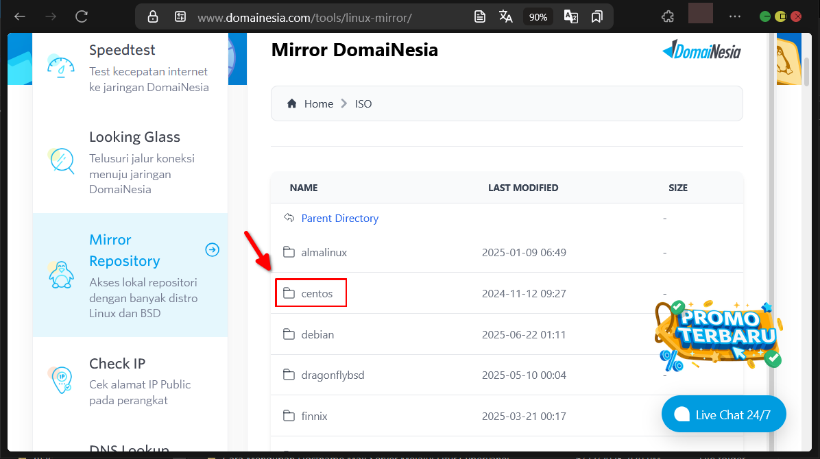 Panduan & Akses DomaiNesia Web Tools Untuk Diagnosis Web
