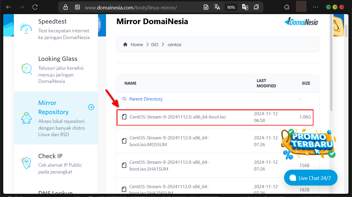 Panduan & Akses DomaiNesia Web Tools Untuk Diagnosis Web