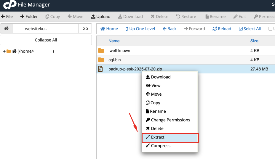 Migrasi Website dari Plesk ke cPanel