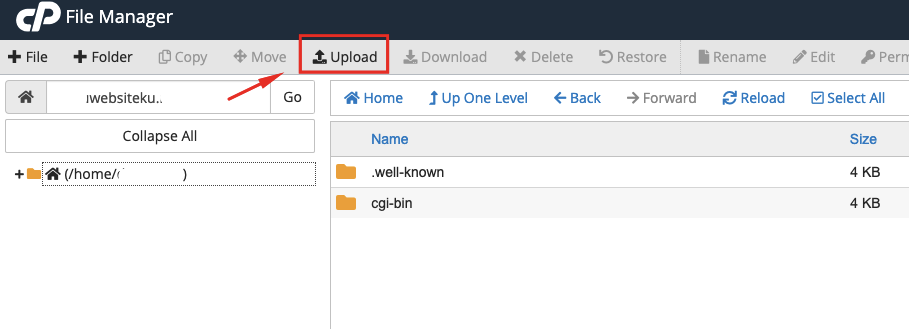 Migrasi Website dari hPanel ke cPanel