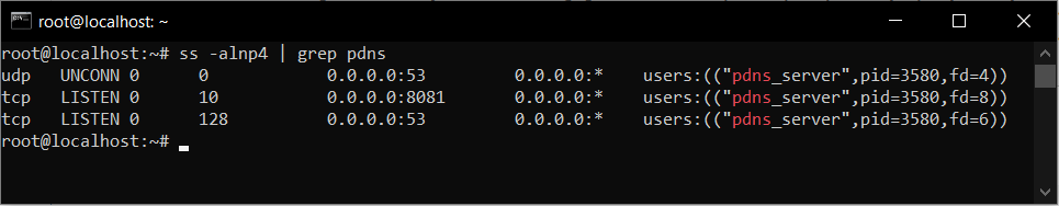 Cara Install PowerDNS di VPS Ubuntu Dengan MariaDB
