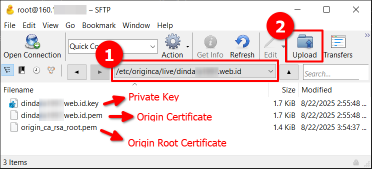 Cara Install SSL Cloudflare Origin CA di CyberPanel