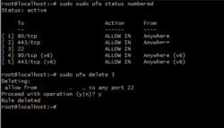 Cek Whitelist IP Address di VPS