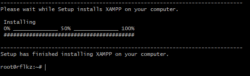 Ekesekusi Installer XAMPP di VPS