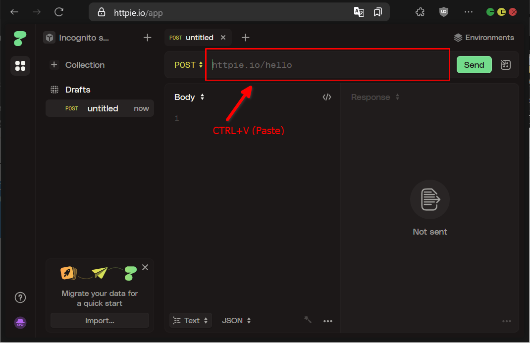 Cara Mengakses CyberPanel API Untuk Koneksi REST API