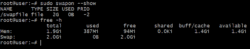 Show Swap File