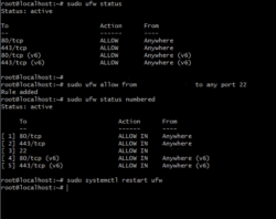 Whitelist IP Address di VPS