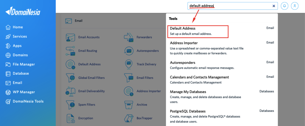 Cara Praktis Aktifkan Default Address di cPanel 5 default address di cPanel