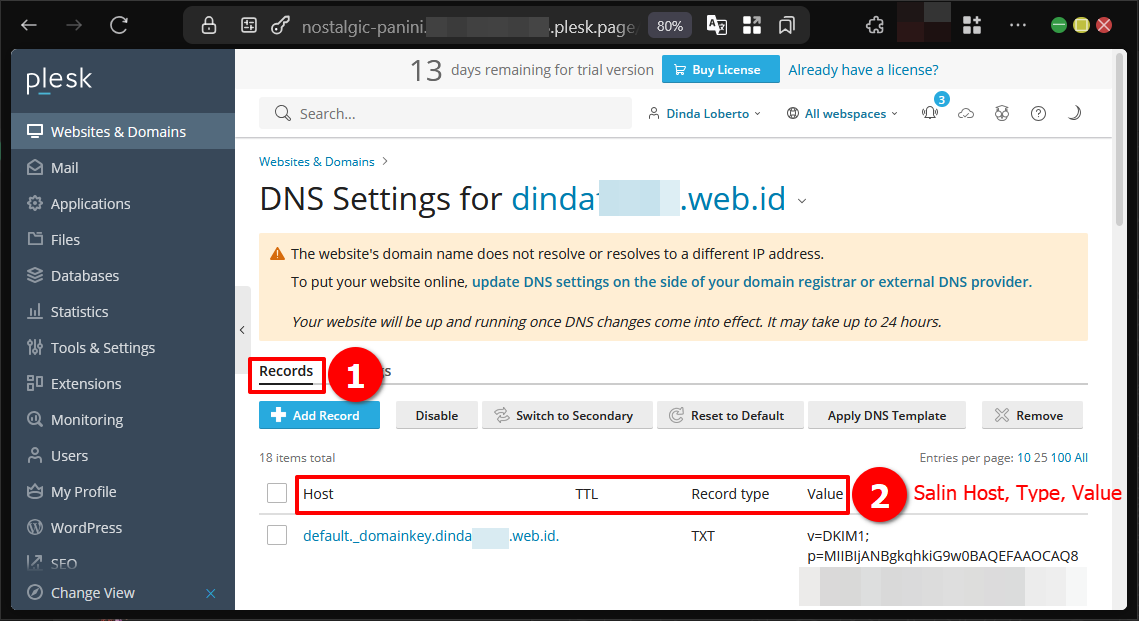 Cara Mengelola DNS Record Di Plesk Panel Agar Web Online
