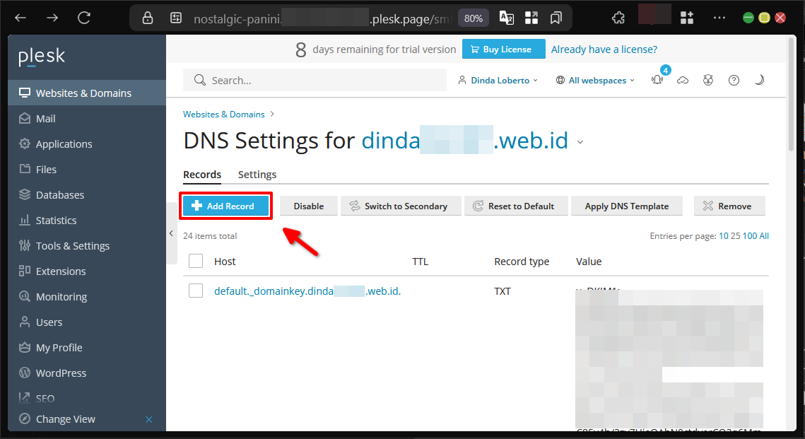 Cara Mengelola DNS Record Di Plesk Panel Agar Web Online
