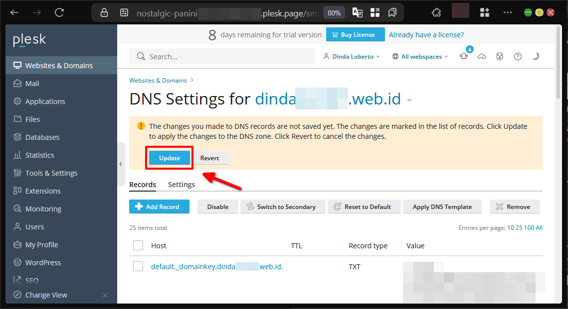 Cara Mengelola DNS Record Di Plesk Panel Agar Web Online