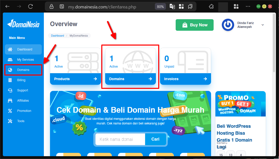 Cara Mengelola DNS Record Di Plesk Panel Agar Web Online