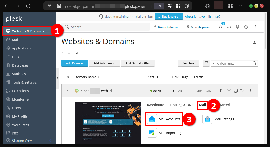 Cara Menyambungkan Email Plesk Panel ke Mail Client