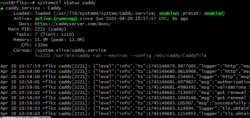 Panduan Install dan Konfigurasi Caddy Server