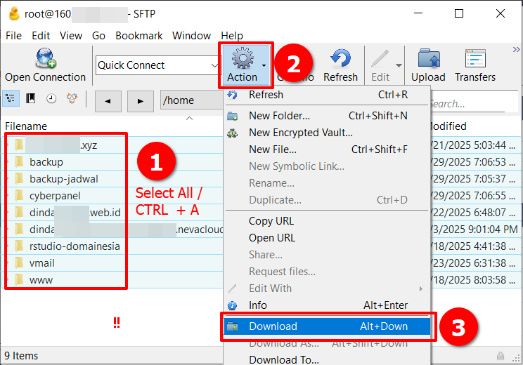 Perhatikan 5 Hal Ini! Agar Siap Migrasi Data di CyberPanel