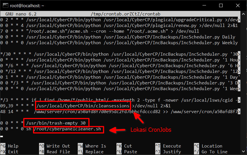 Perhatikan 5 Hal Ini! Agar Siap Migrasi Data di CyberPanel
