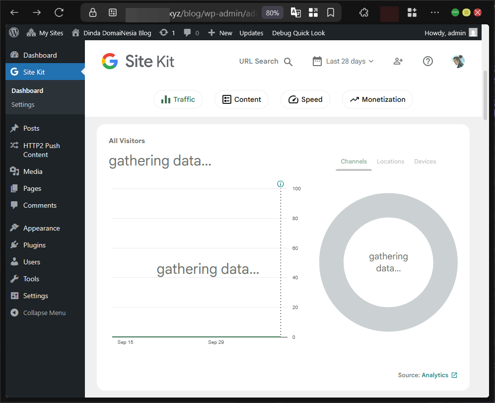 Cara Install Google Analytics di WordPress Lewat Plugin