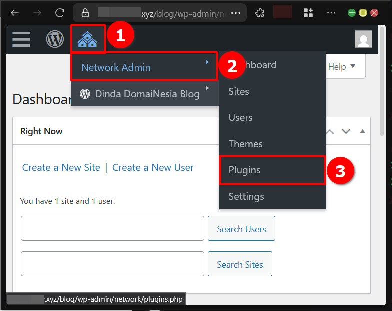 Cara Install Plugin di WordPress Pada Multisite Network
