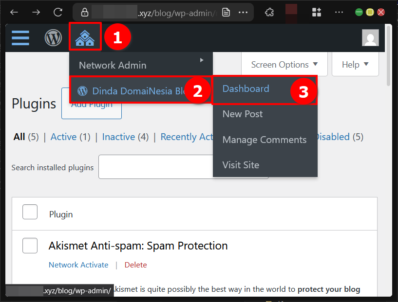 Cara Install Plugin di WordPress Pada Multisite Network