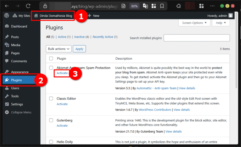 Cara Install Plugin di Wordpress Pada Multisite Network