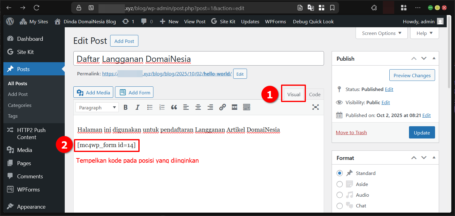 Cara Membuat Email Newsletter Mailchimp di WordPress