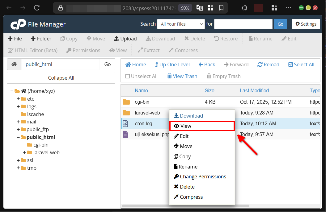 Cara Menambahkan Fitur Cron Job di cPanel Pada Website