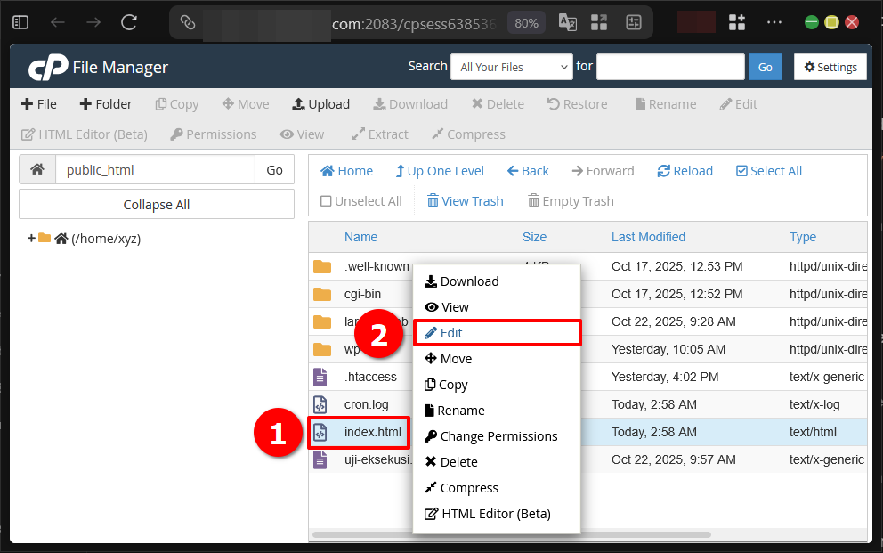 2 Cara Domain Masking di cPanel iframe dan Redirects