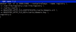 Panduan Membuat Private Docker Registry di Server 2 Lets Encrypt