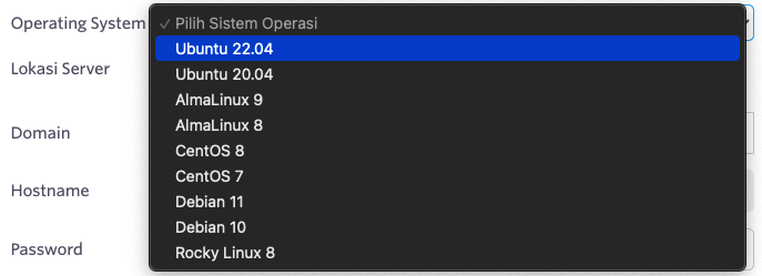 Cara Order Cloud VPS Lite