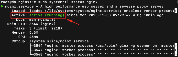 NGINX Reverse Proxy