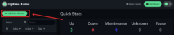 Cara Install dan Konfigurasi Uptime Kuma di VPS Ubuntu 4 Add new monitor