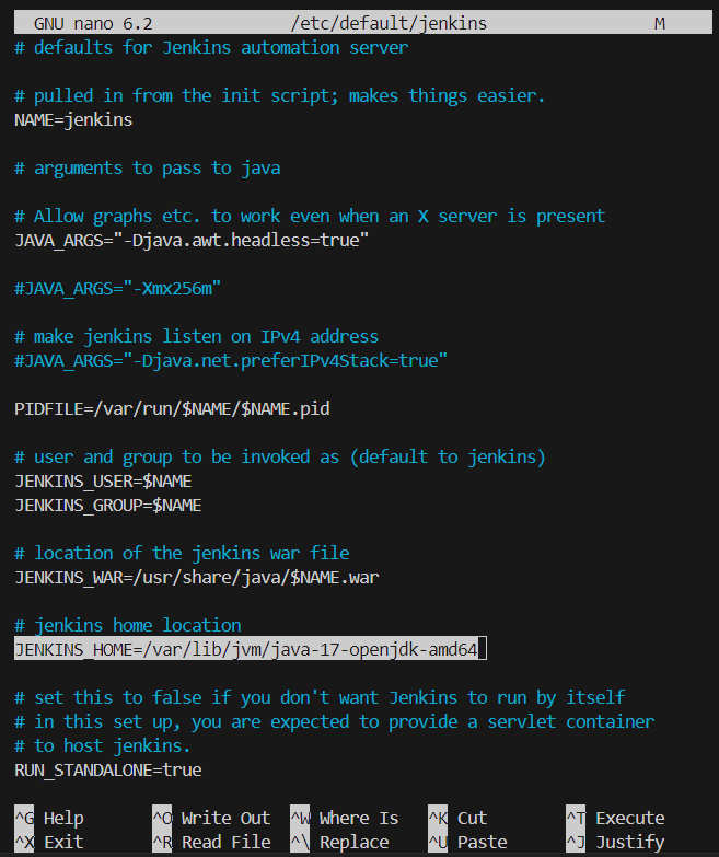 Automasi CI/CD dengan Jenkins di VPS: Cocok untuk Pemula 5 JENKINS_HOME