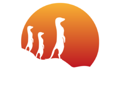 Panduan Install Suricata untuk Keamanan Jaringan 2 Suricata