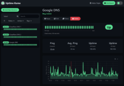 Cara Install dan Konfigurasi Uptime Kuma di VPS Ubuntu 3 Uptime-Kuma