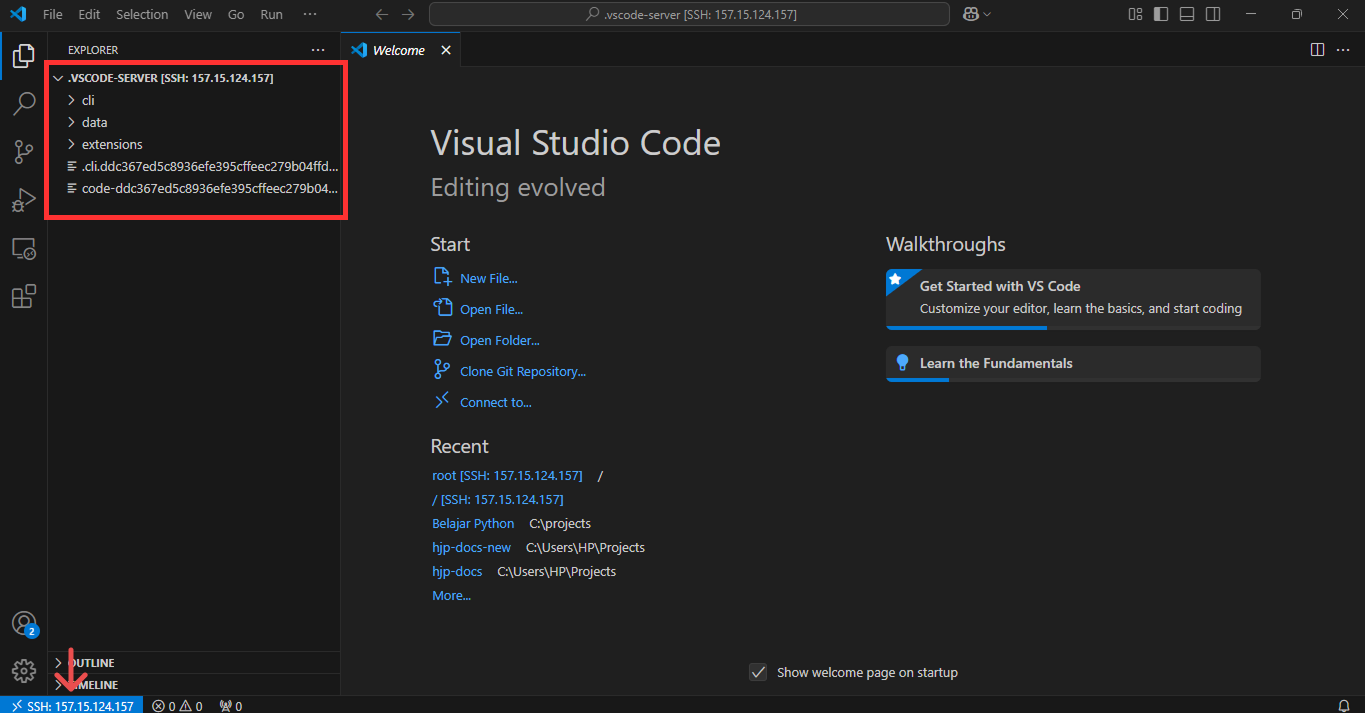 Tutorial Remote Development dengan VS Code Server di VPS 9 VPS Berhasil Terkoneksi