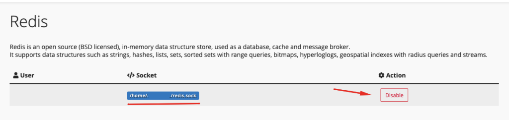 Panduan Praktis Redis Full-Page Caching untuk WordPress 4 Redis Full-Page Caching