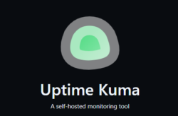 Cara Install dan Konfigurasi Uptime Kuma di VPS Ubuntu 2 uptime kuma