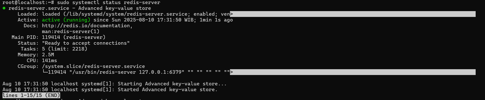 Cara Instal Redis di VPS Ubuntu untuk Website Performa Cepat 10 Cara Instal Redis di VPS Ubuntu untuk Website Performa Cepat 9