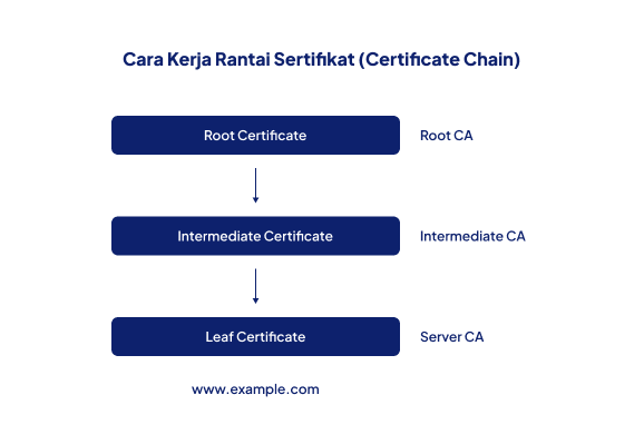 Apa Itu Verifikasi SSL? Pengertian dan Cara Mengaktifkannya 2 Apa Itu Verifikasi SSL? Pengertian dan Cara Mengaktifkannya 1